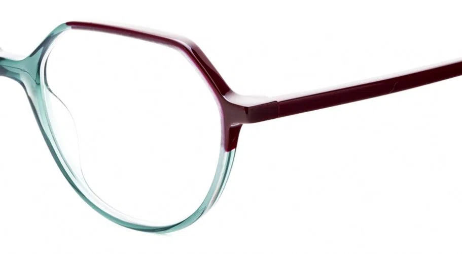 Etnia Barcelona ORCHID Eyeglasses - view 8